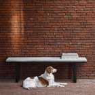 Stability Bench