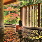 Onsen and Ryokan of Japan
