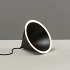 Annular Pendant Light