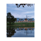 American Equestrian Design