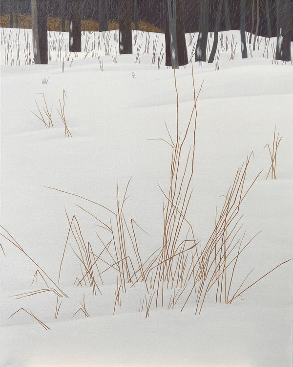 Brad MacIver - Winter Grass - 2023