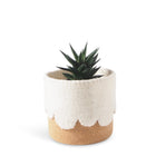 Aveva Design Cork Flower Pot