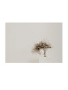 Anna Church - Stillness 1