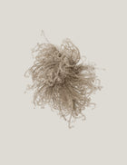 Anna Church - Suspended Animation 1