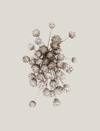 Anna Church - Suspended Animation 3