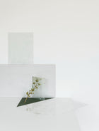 Anna Church - Vanishing 1