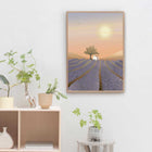 Lavender Field - Poster