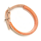 Cee Cee Comfort Collar by House Dogge