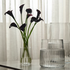 Baia Vase