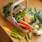 Vegetable Brush By Iris Hantverk