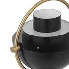 Multi-Lite Portable Lamp