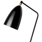 Grashoppa Floor Lamp