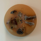 Portal - Alchemical 022 - Vicky Pratt Becker