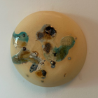 Portal - Alchemical 024 - Vicky Pratt Becker