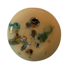 Portal - Alchemical 024 - Vicky Pratt Becker