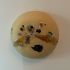 Portal - Alchemical 025 - Vicky Pratt Becker
