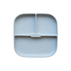 Silicone Plate