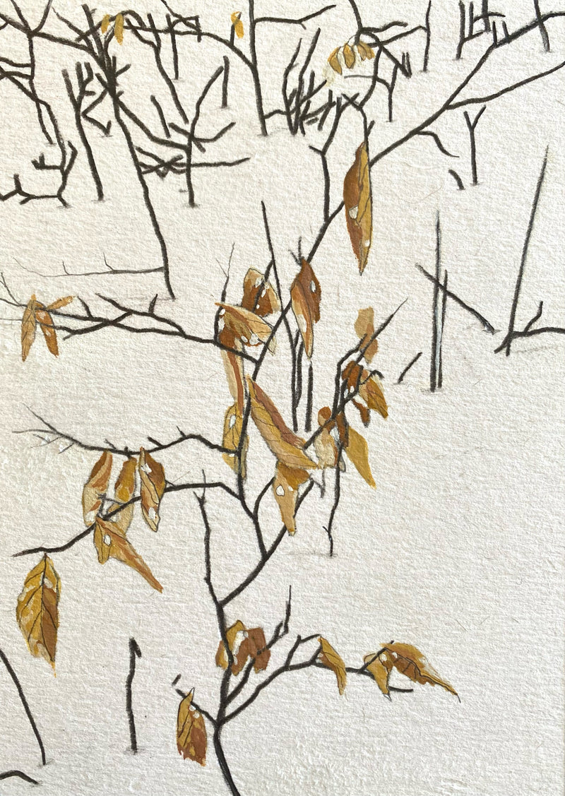 Jessica Tamlin - Beech Leaves in Snow