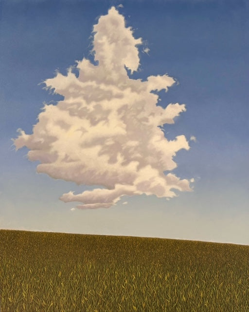 Brad MacIver - Cornfield