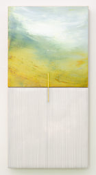 Suzanne McNenly - 100 Day Project Pieces - Shaped or Multi Panel