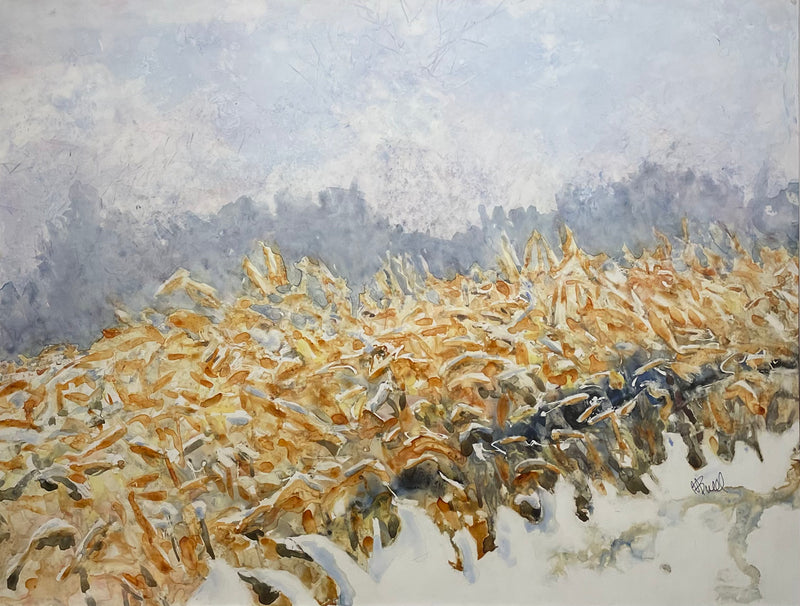 Martha Bull - Corn Field on 5th Concession