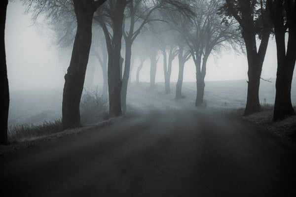 Yuri Dojc - Mysterious Road