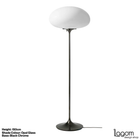 Stemlite Floor Lamp