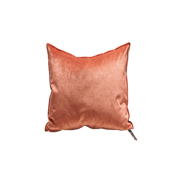 Royal Velvet Pillow - 20x20" - Spritz