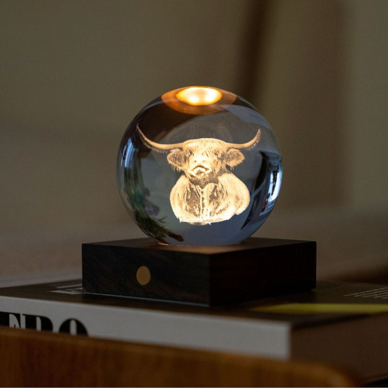 Amber Crystal Light - Highland Cow