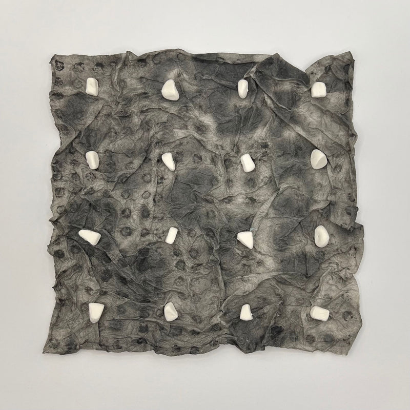 Liz Eakins -  16 White Pebbles I