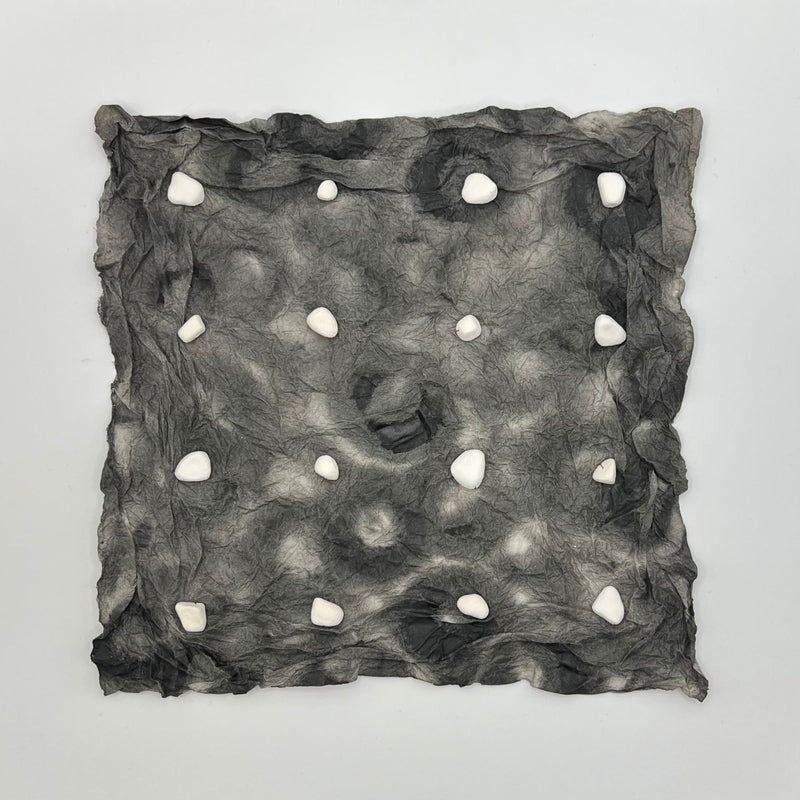 Liz Eakins -  16 White Pebbles II
