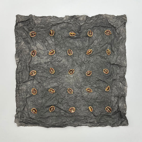 Liz Eakins -  25 Partial Pods