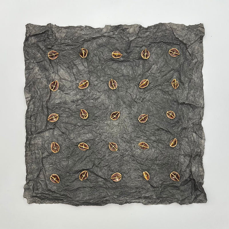 Liz Eakins -  25 Partial Pods