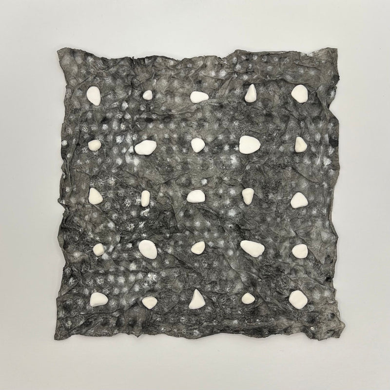 Liz Eakins -  25 White Pebbles