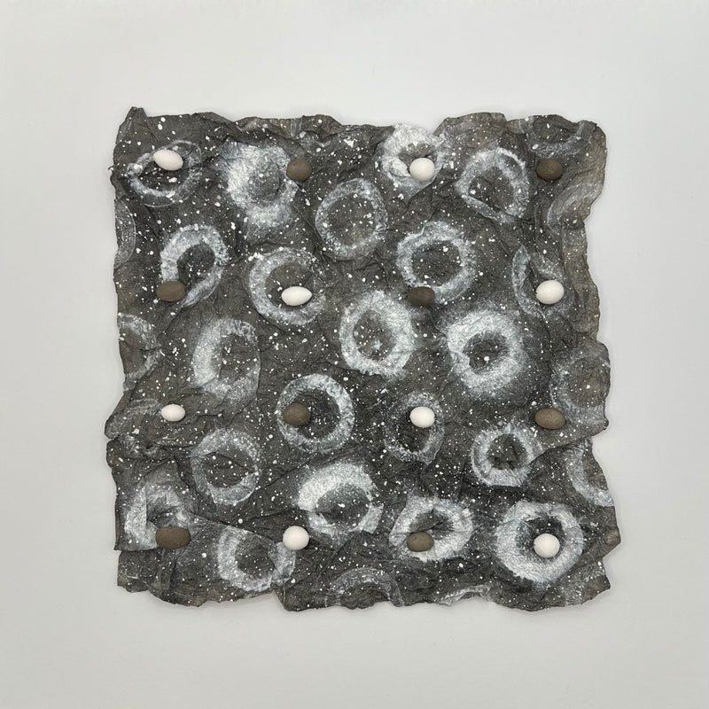 Liz Eakins -  Black & White Pebbles