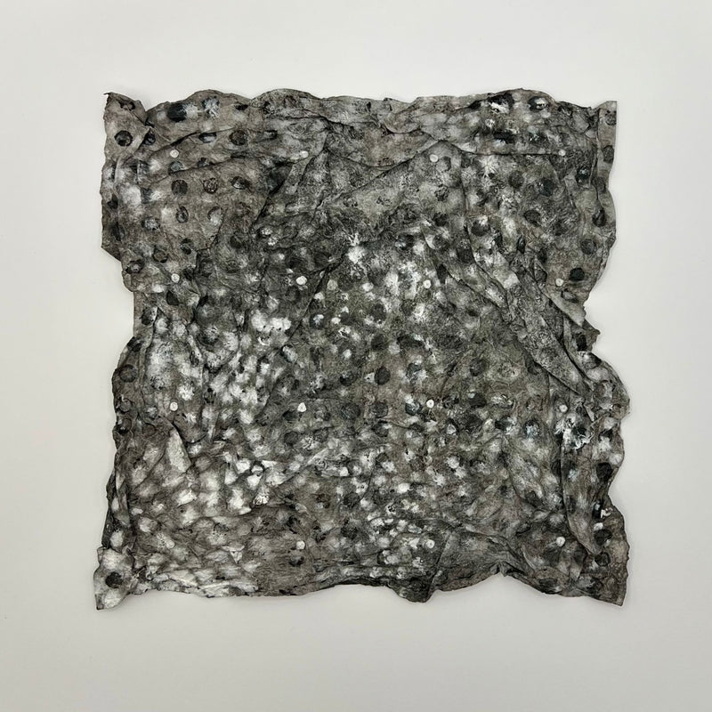 Liz Eakins -  16 French Knots