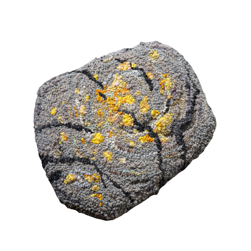 Deborah Farquharson - Sitting Stone - Yellow Lichen