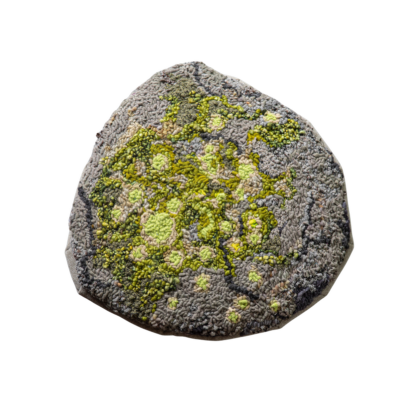 Deborah Farquharson - Sitting Stone - Green Lichen