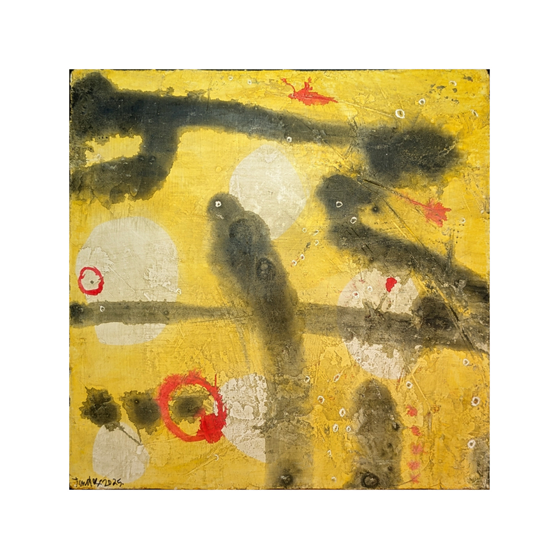 Jeanette Luchese - The Black Crow Knows