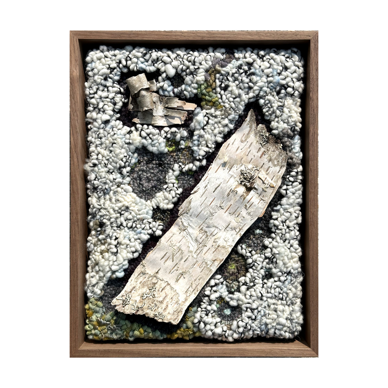 Deborah Farquharson - Flagged Lichen