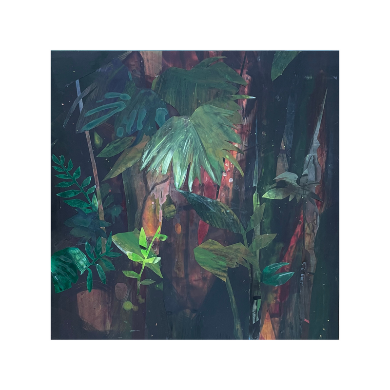 Sue A. Miller - Jungle Love