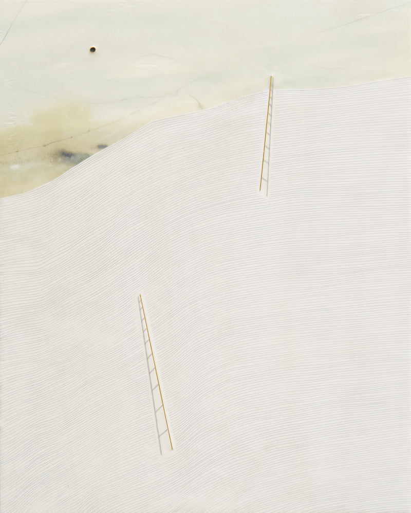 Suzanne McNenly -  Up where we belong