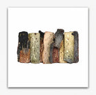 Urban Grove - Cat Marchese Citybonez™
