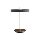 Asteria Table Lamp