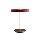 Asteria Table Lamp