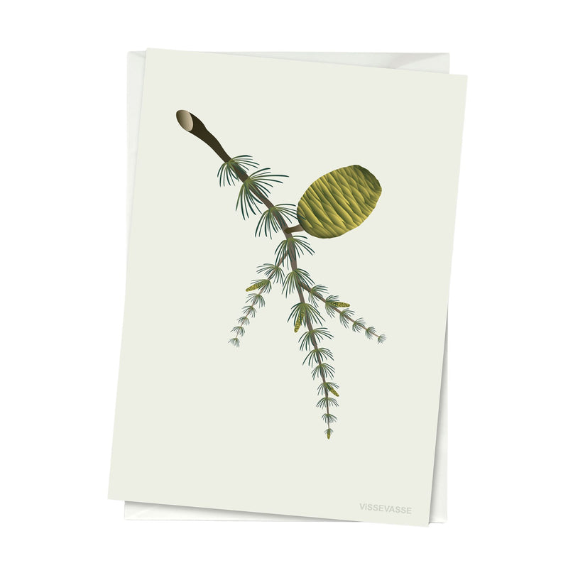 Cedar Cone - greeting card
